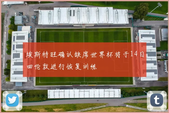 埃斯特旺确认缺席世界杯将于14日回伦敦进行恢复训练