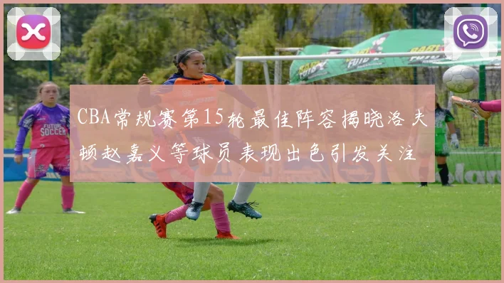 CBA常规赛第15轮最佳阵容揭晓洛夫顿赵嘉义等球员表现出色引发关注